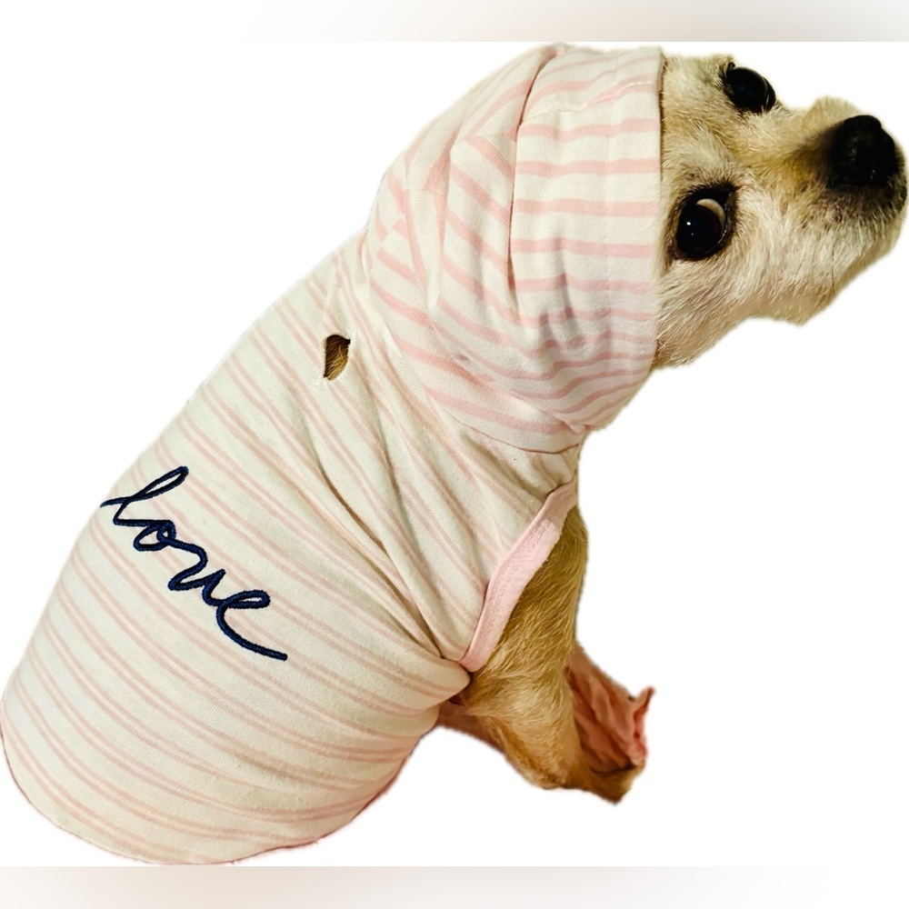 Ellen DeGeneres "Love" Pink & White Striped Hoodie Dog Outfit - Picture 2 of 9